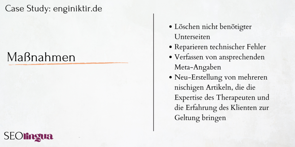 Maßnahmen des Projekts waren unter anderem das Reparieren technischer Fehler und Verfassen von ansprechenden Meta-Angaben.